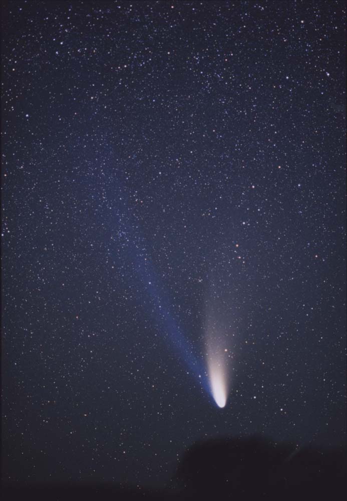 彗星 ハーレー 九谷焼に描かれたハレー彗星